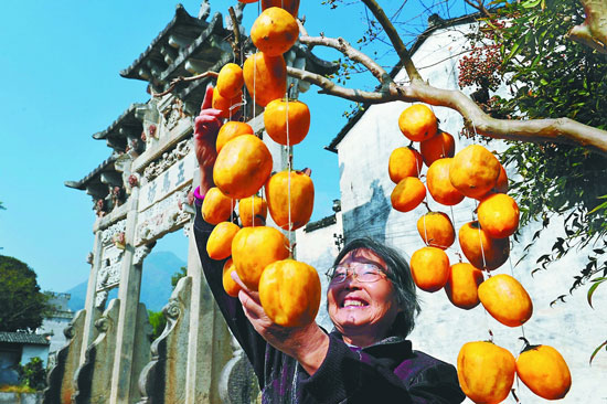 ì¨ÏØÐí´åµÄºúÄÌÄÌÔ缸Ìì¾ÍɹÆðÁ˻ƳγεÄÊÁ×Ó¡£ ¡°Ëª½µ³Ô¶¡ÊÁ£¬²»»áÁ÷±ÇÌ顱£¬ÀÏÈ˼ÒÀֺǺǵØËµ£º¡°¹ý¼¸ÌìËï×Ó¾ÍÄܳÔÉÏɹµÃ¸ÊÌðµÄÊÁ×ÓÁË