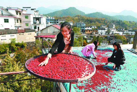 ½ð´¨É½ÀïµÄÇιÃÄï·É¹×Å»ðºìµÄÜïÝÇ