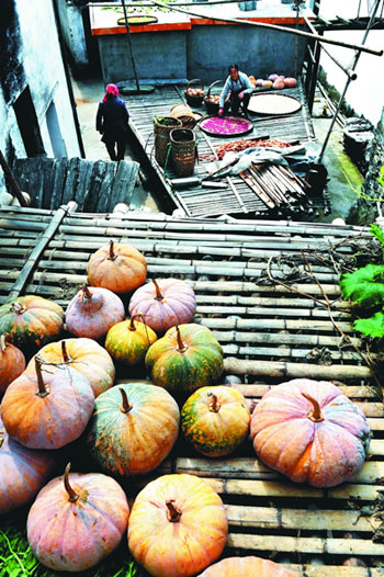 ɽ¾ÓƽµØ½ð¹ó£¬´íÂäµÄÎݶ¥¾ÍÊÇɹÄϹϡ¢À±½·ºÍ¶¹½ÇµÄºÃɹ³¡