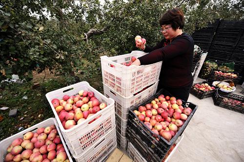 112գذ˴ڴһλԼҹ԰ڽƻɸѡ