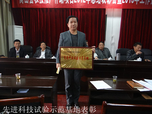 先进科技试验示范基地表彰