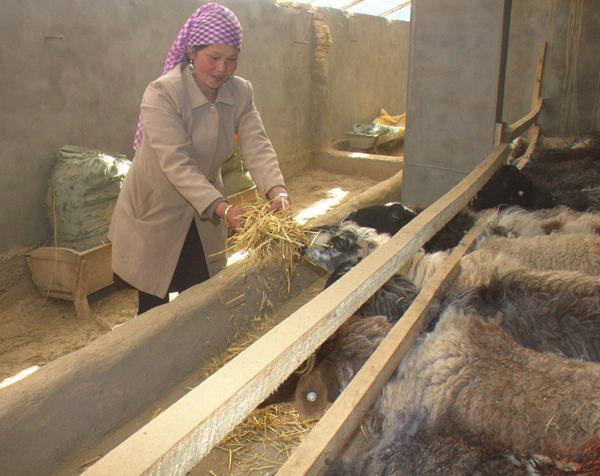 ½شչɫƷֳΪ˵¸Ч;