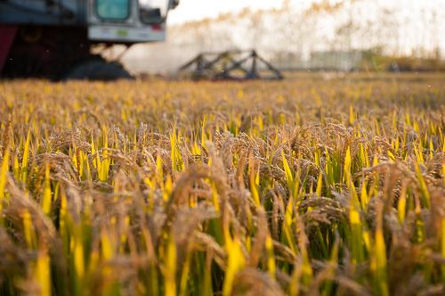 114գǨͷϲһ鵾ոո