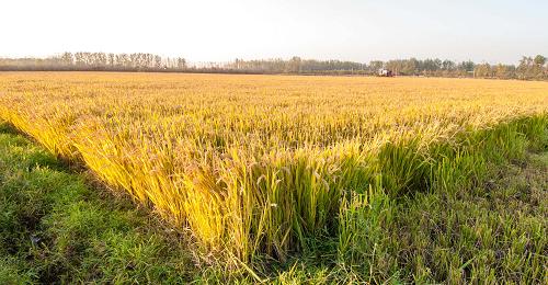 114գǨͷϲһ鵾ũոո