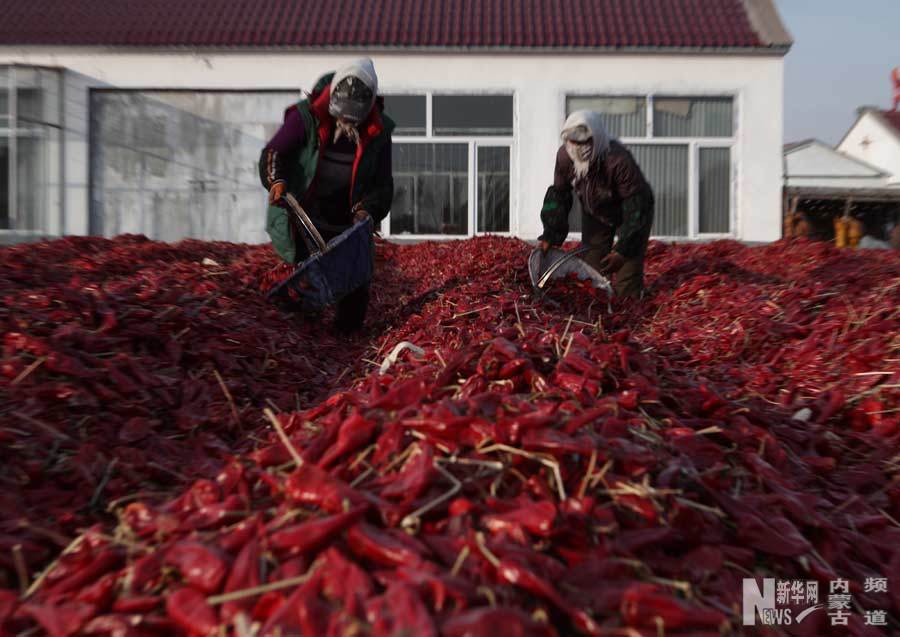 11��1�գ����ɹ�ͨ���п�³�ض�������´彷ũ��¼��������պ�ɽ���