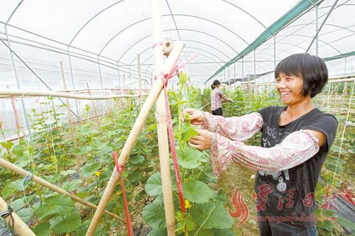 㶫Ƹ񡰲ӡӷḻʵݰȫ