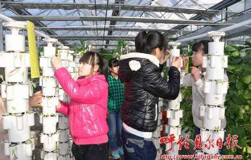 ɹźױִũҵƼʾ԰￪۽