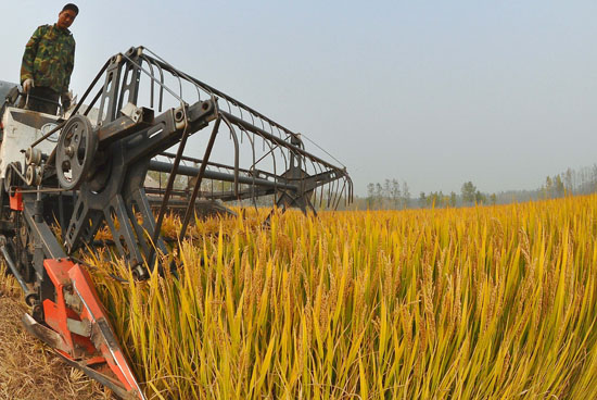 11��4�գ�����ʡ���Ƹ��ж�����ũ�����ո��������