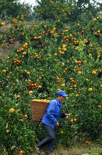 115գʡ԰մũժġ硱۸˳԰