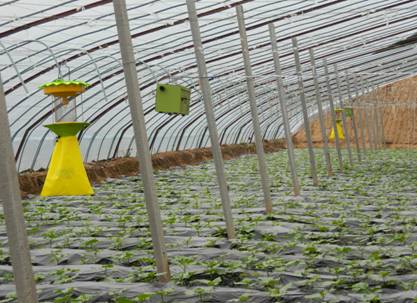 ƹۺϼӦ ٽʩ߲˷չ2