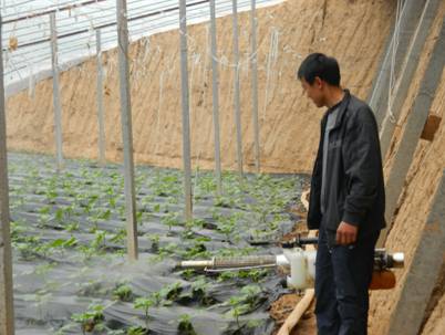 ƹۺϼӦ ٽʩ߲˷չ3