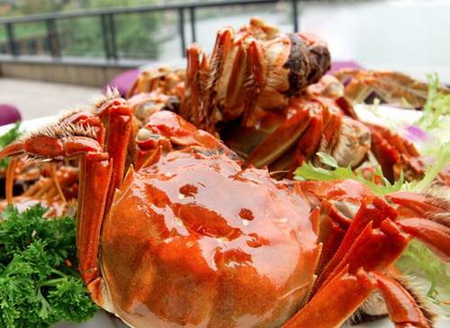 �ӡ�631������155�� ���ս�̳��з��̬��ֳ��������ȫ��