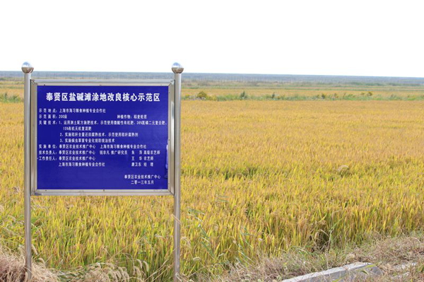 Ϻͣǿʩʼ ʵμ̲Ϳˮ