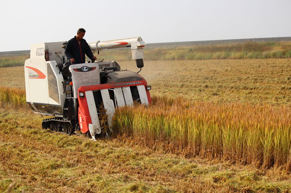 Ϻͣǿʩʼ ʵμ̲Ϳˮ2