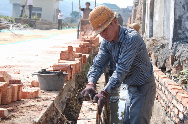 浙江温岭城南:年内建成2350亩粮食功能区