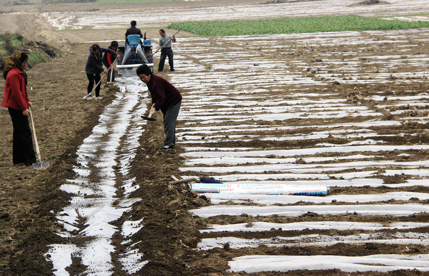 �����żҴ������ﶬũҵ�����ȳ�2