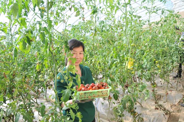 甘肃卓尼县高度重视产业结构调整 农牧民增加收入