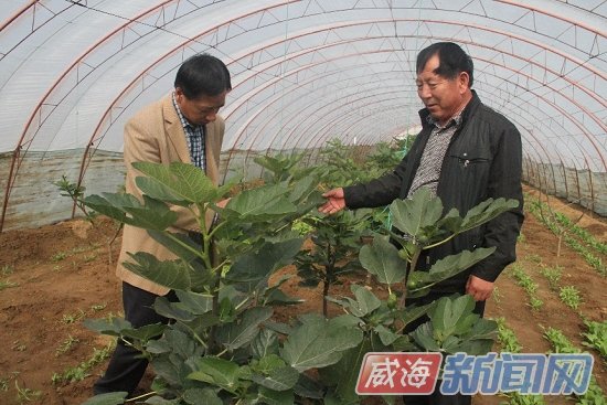 泊于镇王可春:田地里成长起来的“科普专家”