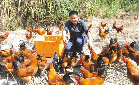 㽭ɽͷивҩֳ ӷ ʡɱ7000