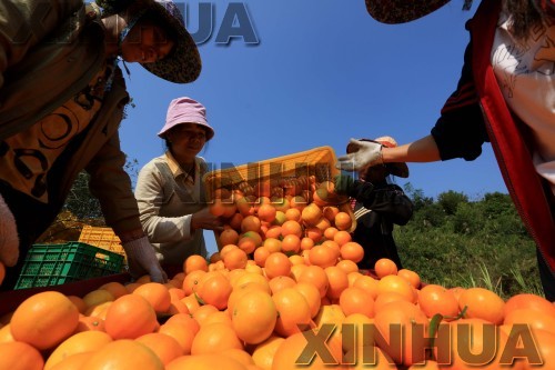 �����ڰ����ٷ���