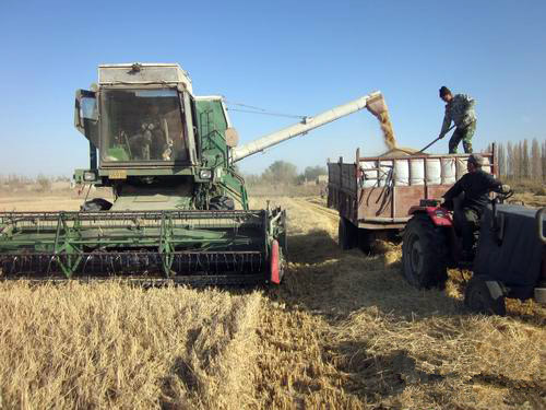 �½����Ŷ�ʮ����ǧ��Ķˮ�������ո�