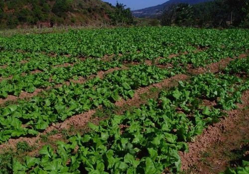 ƽعųǽֲֵС1000Ķ