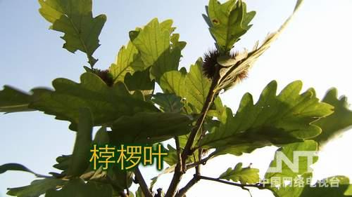 ӱǳϴ壺Ǯ˵ũϱ¸ͼ2