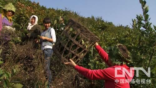 ӱǳϴ壺Ǯ˵ũϱ¸ͼ3