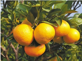 һþǣǳȻʱʱڣϽƮ㣬һɷվ