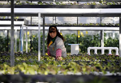 116գڰ׶ٺִͮũҵʾ԰һԱڲ鿴