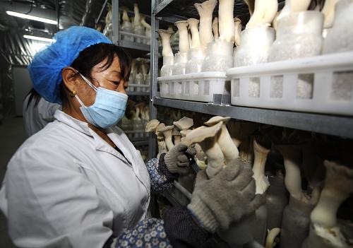 116գڰ׶ٺִͮũҵʾ԰һԱոĢ