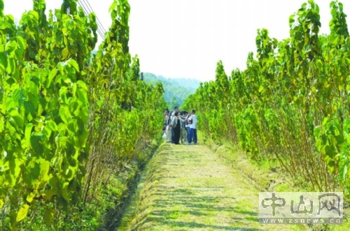 㶫ɽ̡񵱡ССɣ֦ˡתۡ