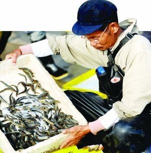 ������Ǩ����������ɫˮ����ֳ�Ի���