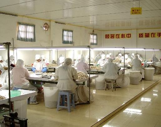 福建古田:“中国食用菌之都”的品质提升之路2