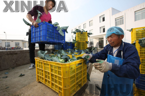 117գڰʡɳС壬ũ˸ղժ߲׼мӹ