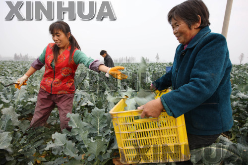 117գڰʡɳС壬ũ߲˻ز