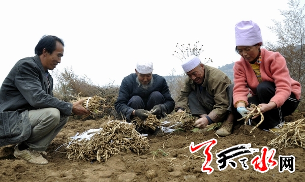 żҴѼҴ壺Ŵ񷢡ҩơ