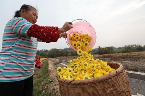 1110գؾũժлʾռжѷ