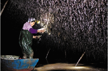 ϲ˵ĺʱ 㽭ɽϲ԰ոæ