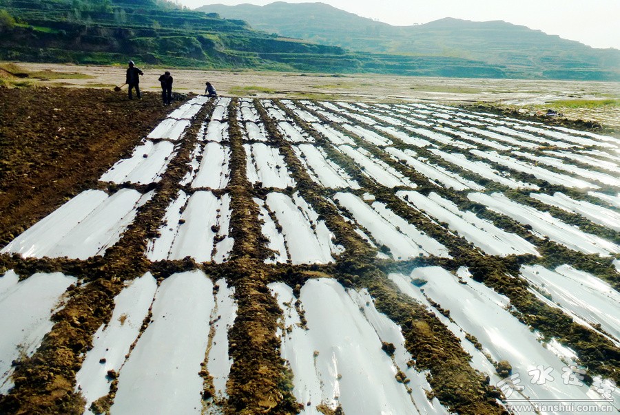 �����żҴ�������าĤ ����������