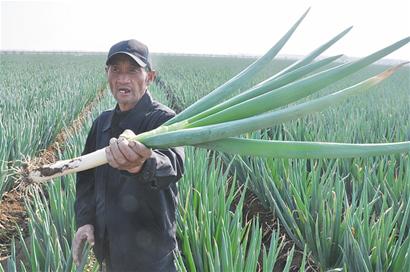 ɽൺƽȽݵȵֲʮĶл