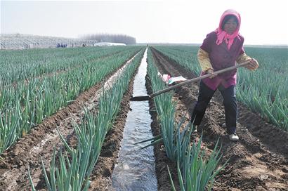 ɽൺƽȽݵȵֲʮĶл2