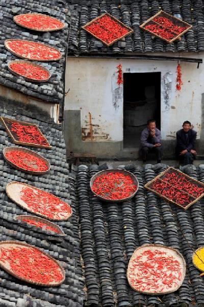 11月10日,黄山市歙县霞坑镇湖山村住户的屋顶晾晒着各种农作物。