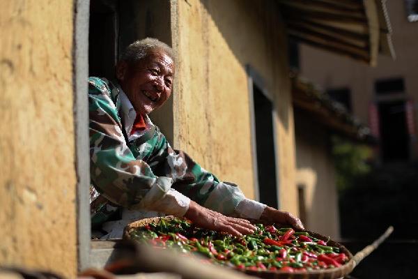 11月9日,安徽省歙县深渡镇阳产村的村民在土楼上晾晒农作物。