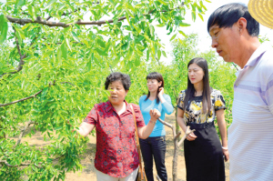 Сׯʩũҵ Ůҵѵƽ̨