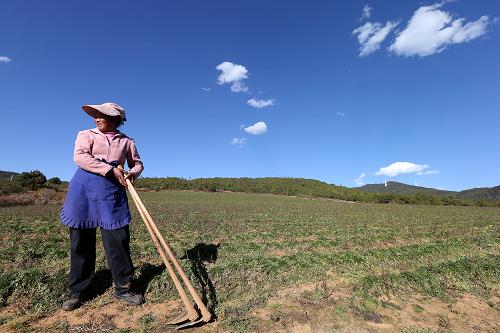 һ帾Ůʡ̫꿧ֲڣ1111㣩