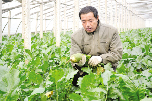 ľ巢չֲܲ ҹռɸ60%