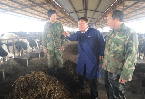 11月13日,奶牛养殖户李井轩(中)在与养殖场工人探讨奶牛喂养事宜。