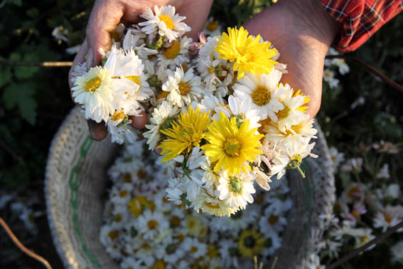 ���ջ�����³¥������2