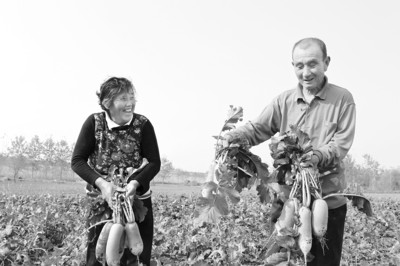 ���ջ��ϣ������ܲ��ճɺ�